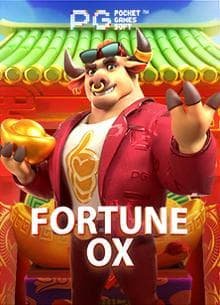 Responsible gaming guidance for adults only on 6662 bet platform