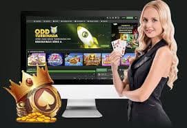 Mobile Teen Patti table browsing with privacy and safety focus on 6662 bet